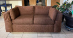 Sofa Bed & Love Seat