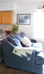 Cozy Corduroy Family Sofa