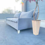 West Elm Bliss Sofa