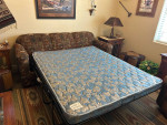 sleeper sofa