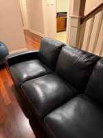 Kalana leather sleeper sofa