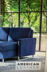 American Leather Sleeper Sofa