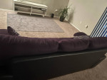 Purple sofa