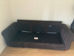Couch/Sofa W Pull Out Bed