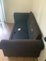 Couch/Sofa W Pull Out Bed