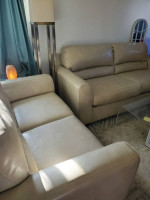 Sofa and Loveseat
