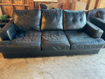 Pull out Sofa bed and Love seat