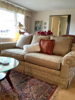 Beautiful Sofa
