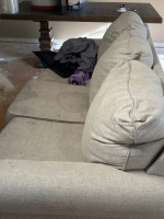 Ashley Furniture Sleep Sofa and matching Sofa