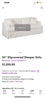 Gorgeous Ivory Sleeper Sofa