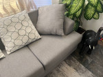 Grey Sofa Couch