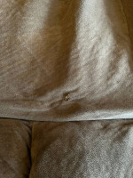 Sofa (Couch)