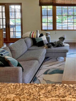 Cute Sectional Sofa with Chaise