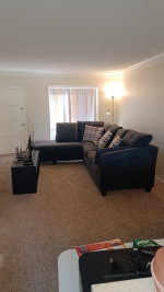 Sectional Sofa w/Storage Ottoman