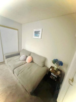 Moving out Sale! Goose feather gray Sofa