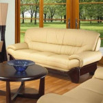 Leather Sofa Couch