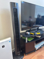 $300 everything furniture, sofa, tv stand, coffee table etc.