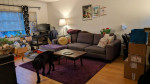 Grey/Gray Sectional Sofa