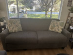 Set of Sofa and love seat