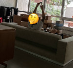 dwr havana sofa