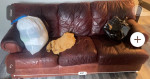Free Delivery! Classy Red Leather Sofa Couch