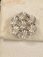Diamond lady’s earrings