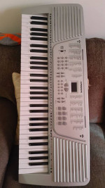 Organ