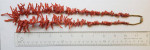 Pink Coral Necklace