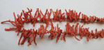 Pink Coral Necklace