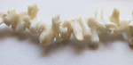 White Coral Necklace