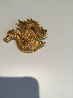 Beautiful Dragon Brooch