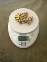 Curb link 14k gold