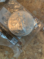 Uncirculated Lady Liberty