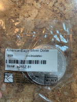 Uncirculated Lady Liberty