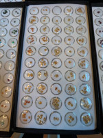 Gem Stone Collection