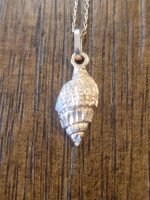 Dainty 14k Gold 17.5 in. chain with 14k shell charm