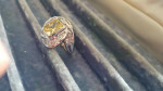 Silver Ring with Costume Stones - yellow center   size 7 1/2