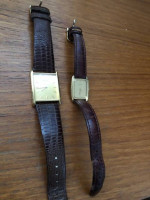 Seiko LaSalle (mens and ladies)