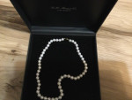 Pearl necklace