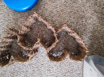 3 heart wall mount decor