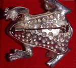 Family of Frogs Pin