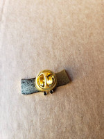 New!  Israel - United States Pin