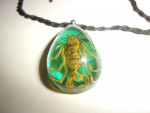 New Scorpion Enclosed in Amber  Necklace