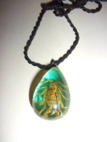 New Scorpion Enclosed in Amber  Necklace