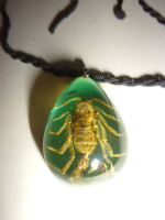 New Scorpion Enclosed in Amber  Necklace