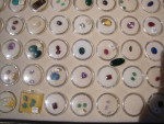 Collection Of Gemstones & Crystals