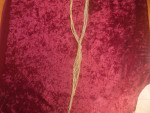 Brand New Gold Plated Chain Necklace - 32" Long