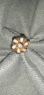 Natural Opal Cocktail Ring