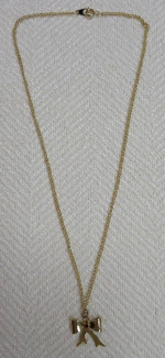 New, Gold Tone Necklace with Bow