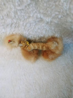 3 Pc 50s RETRO LUXURY Mink 2 Pins: Flower&Poodle/Clipon Earrings